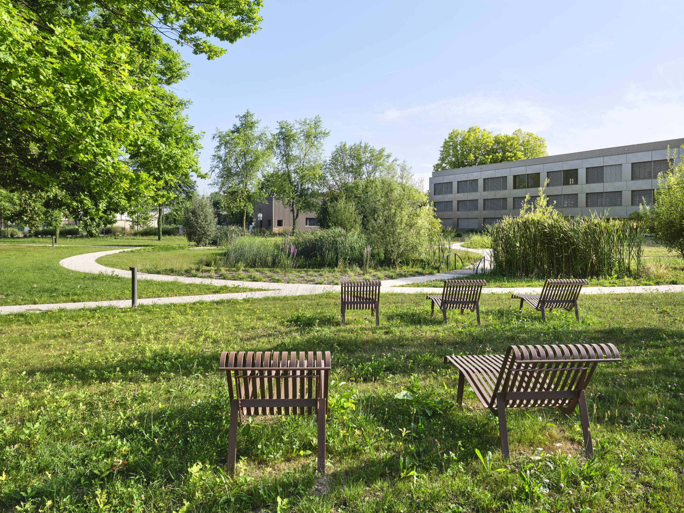 REHABILITATION PLM MEYLAN photo Michel Denancé